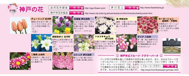 神戸の花
