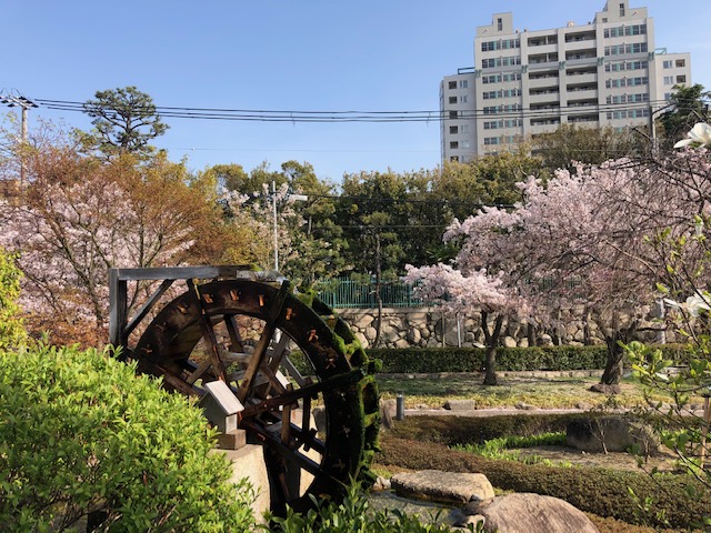 桜と風車の風景