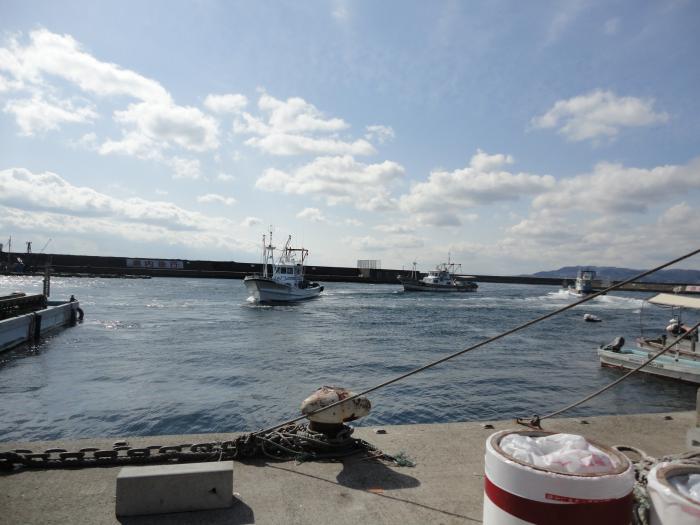 垂水漁港いかなご漁