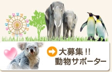 ���W�I�I�����T�|�[�^�[