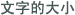 文字的大小
