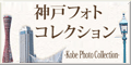 �_�˃t�H�g�R���N�V����