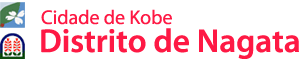 Distrito de Nagata