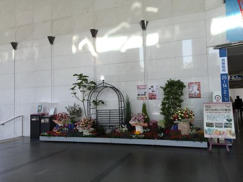 平成27年4月に実施した花の展示の写真