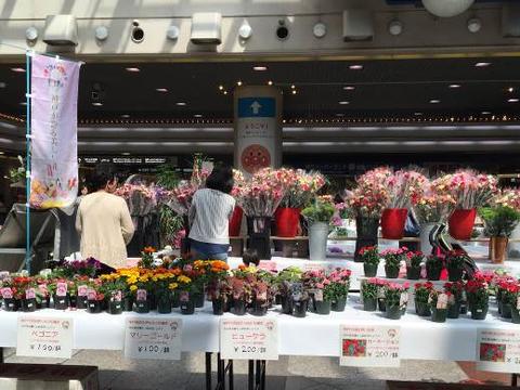 2015年のこうべ花マルシェの様子１