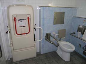 ����ł��g�C�������i�j�q�p�����j