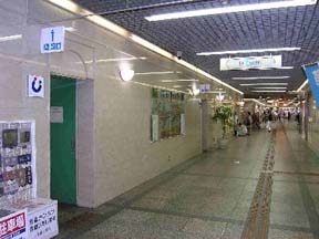 �g�C�������t��