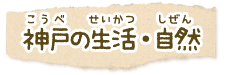�_�ˎs�̐����E���R