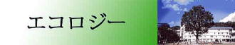 �G�R���W�[