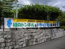 �~�X�g�摜3