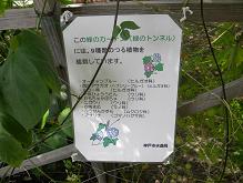 �~�X�g�摜7