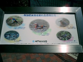 �쒹�p�l��
