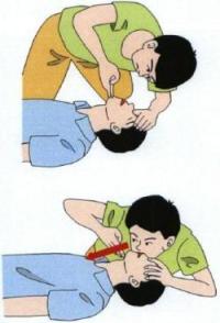 �l�H�ċz�̊J�n