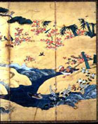 Hakutsuru photo