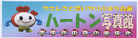 �n�[�g���ʐ^��