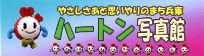 �n�[�g���ʐ^��