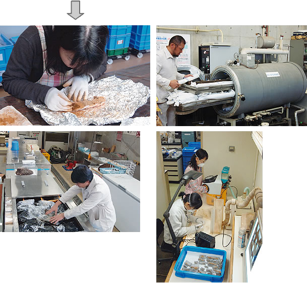 保存科学的処置