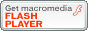 最新のFlash Player