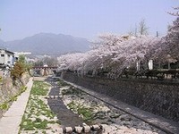 都賀川の写真