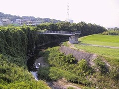 有野川の写真