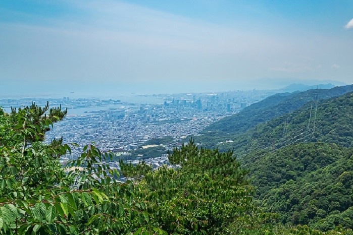 登山プロジェクト