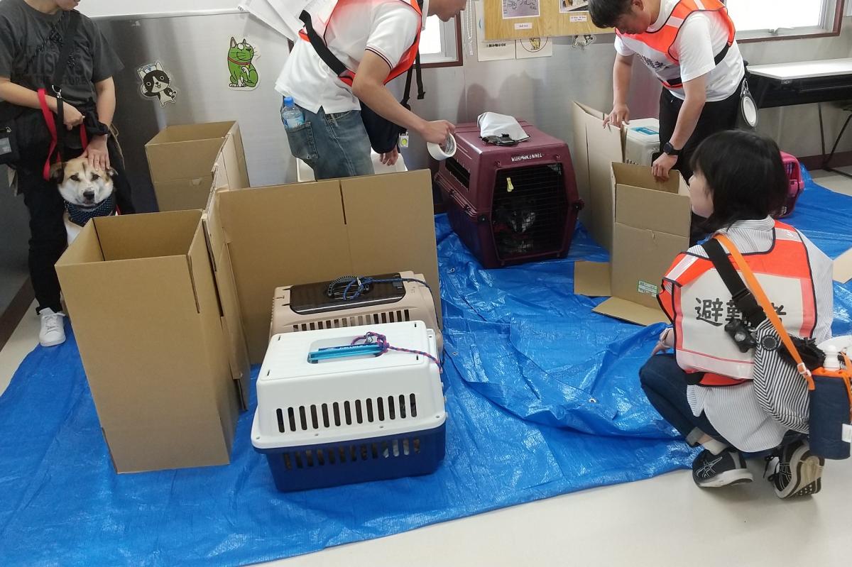 ペットの防災（3対2）