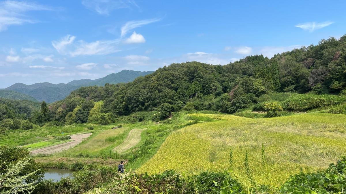 生物多様性