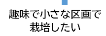 趣味で小さな区画で栽培したい
