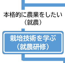 本格的に農業をしたい（就農）-栽培技術を学ぶ（就農研修）