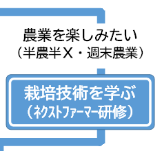 農業を楽しみたい（半農半X・週末農業）-栽培技術を学ぶ（ネクストファーマー研修）