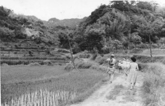 写真：下畑の農村風景