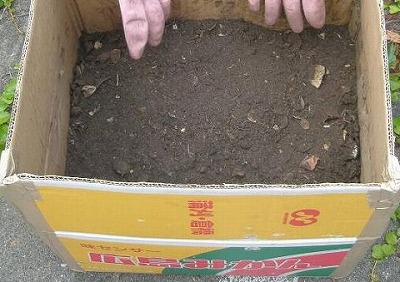 神戸市 段ボールコンポストで生ごみを肥料にリサイクル