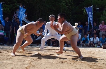写真：わんぱく相撲兵庫ブロック大会
