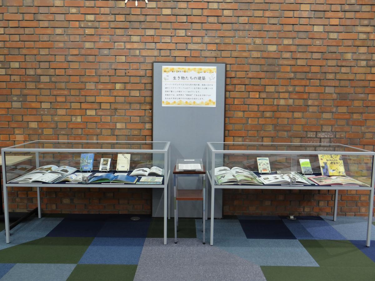 展示ケース全体