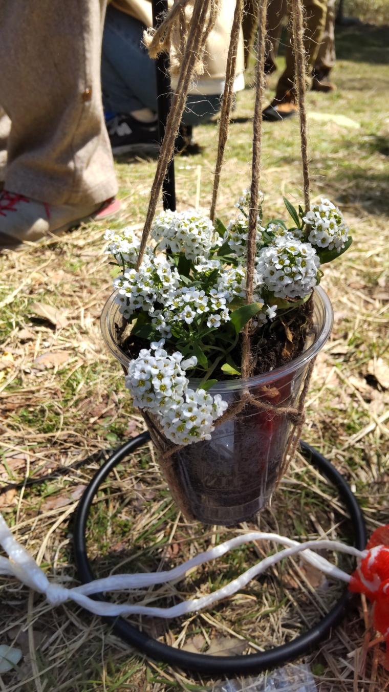 春のこぶしまつり（植木）