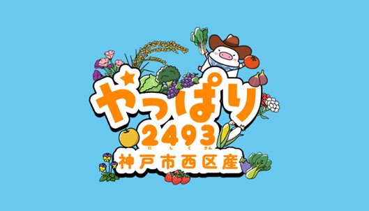 やっぱり2493キャンペーン