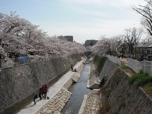 妙法寺川の写真