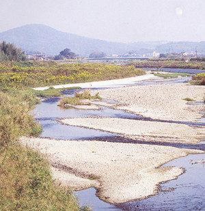 明石川の写真