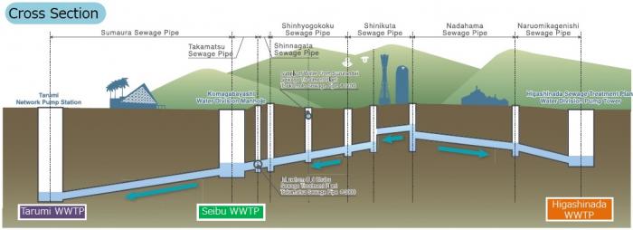 Cross Section