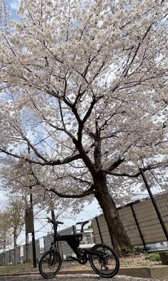 こども家庭局長プライベート