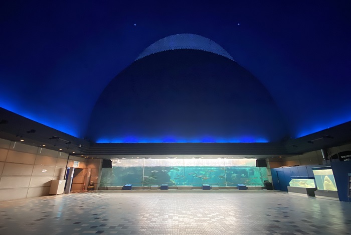 水族 園 海浜 須磨