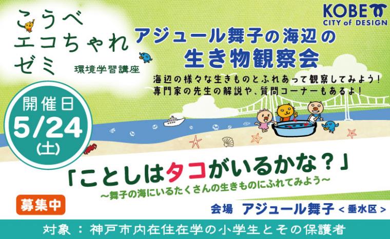 ことしはタコがいるかな