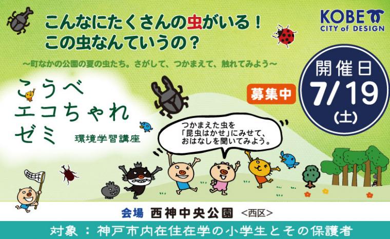 6西神中央_虫