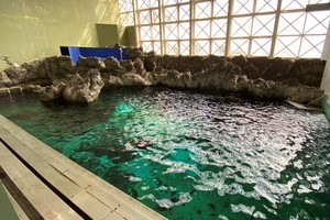 波の大水槽上部006