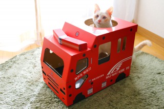 猫の消防車