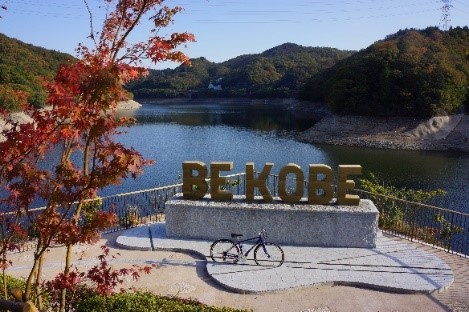 akigazou