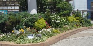 JR新長田駅前　南側の花壇