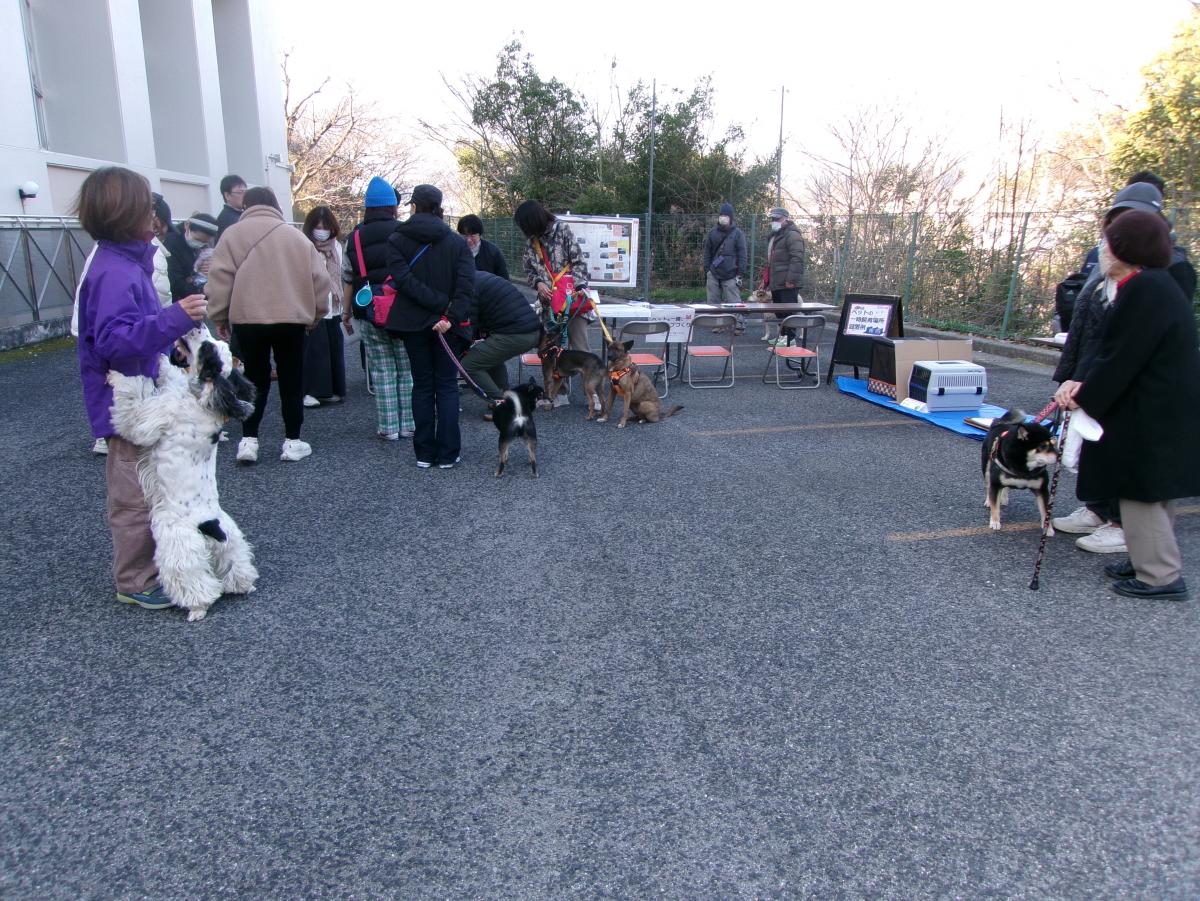 ペット同行避難訓練①