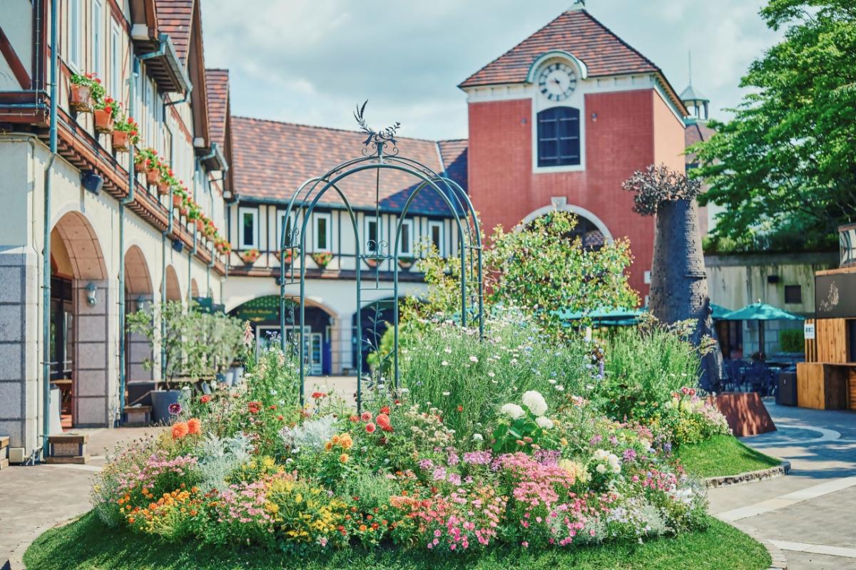 ウェルカムガーデン