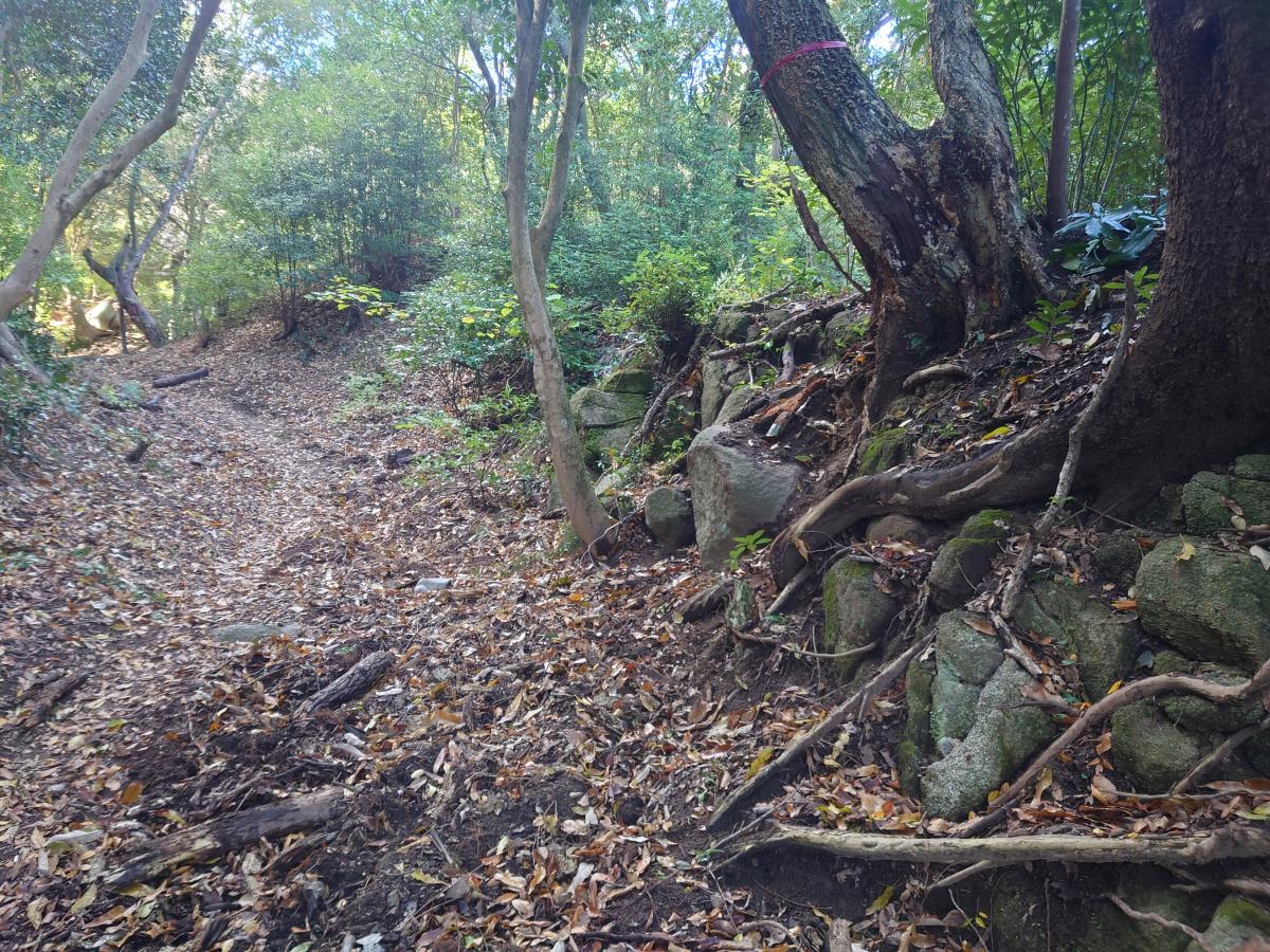 滝山城跡の様子